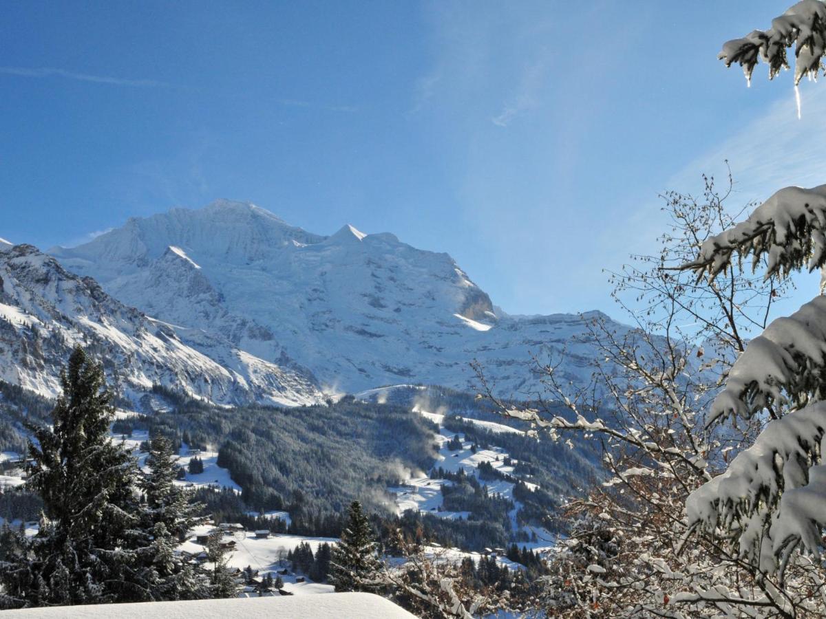 Apartment Sulegg By Interhome Wengen Exterior foto